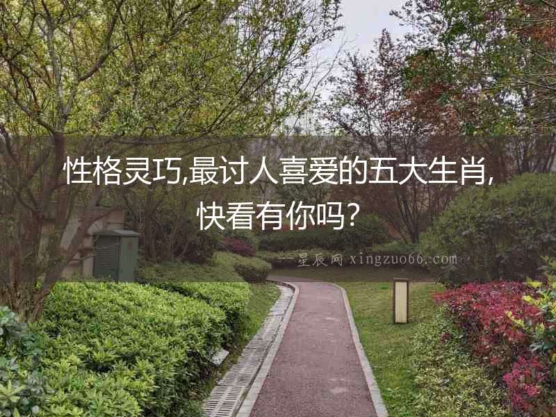 性格靈巧,最討人喜愛的五大生肖,快看有你嗎？