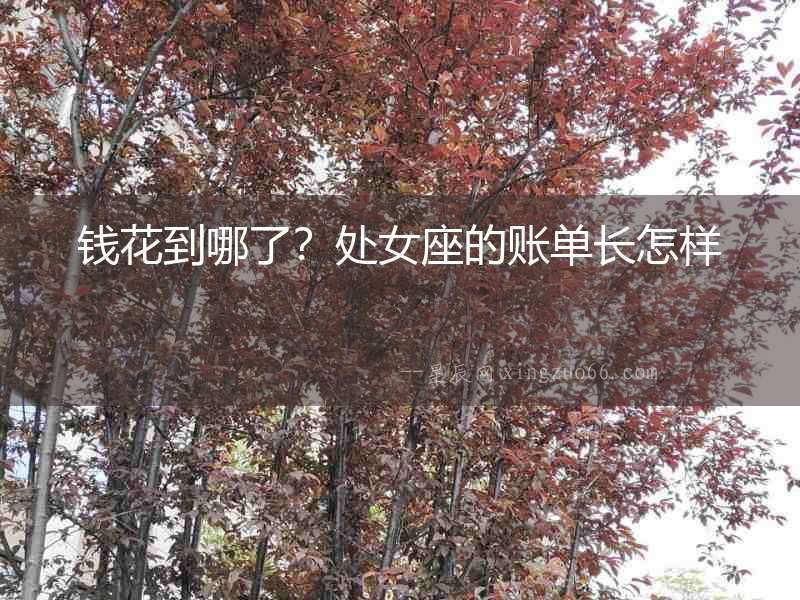 錢花到哪了？處女座的賬單長怎樣