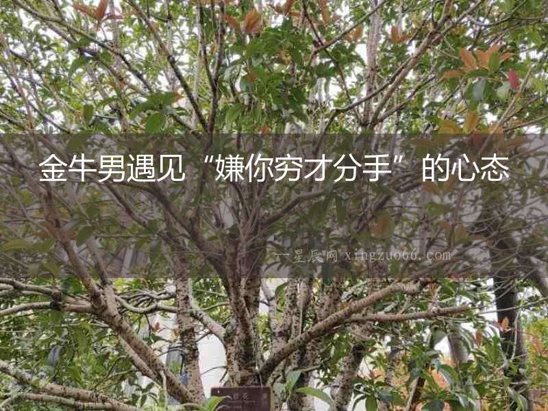 金牛男遇見“嫌你窮才分手”的心態