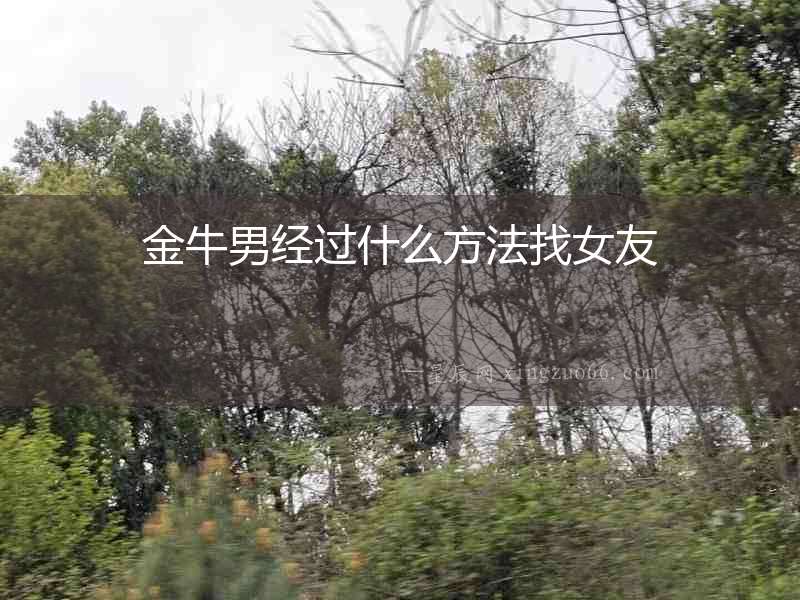 金牛男經(jīng)過什么方法找女友