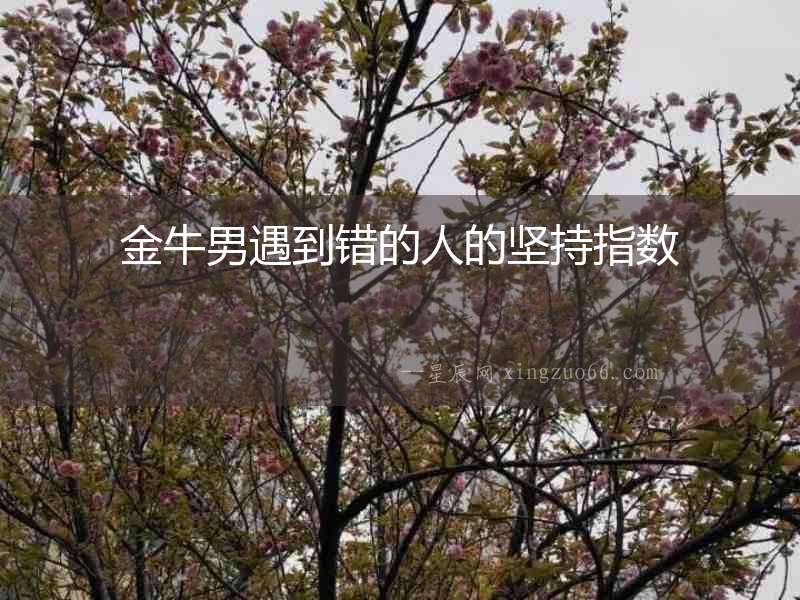 金牛男遇到錯(cuò)的人的堅(jiān)持指數(shù)