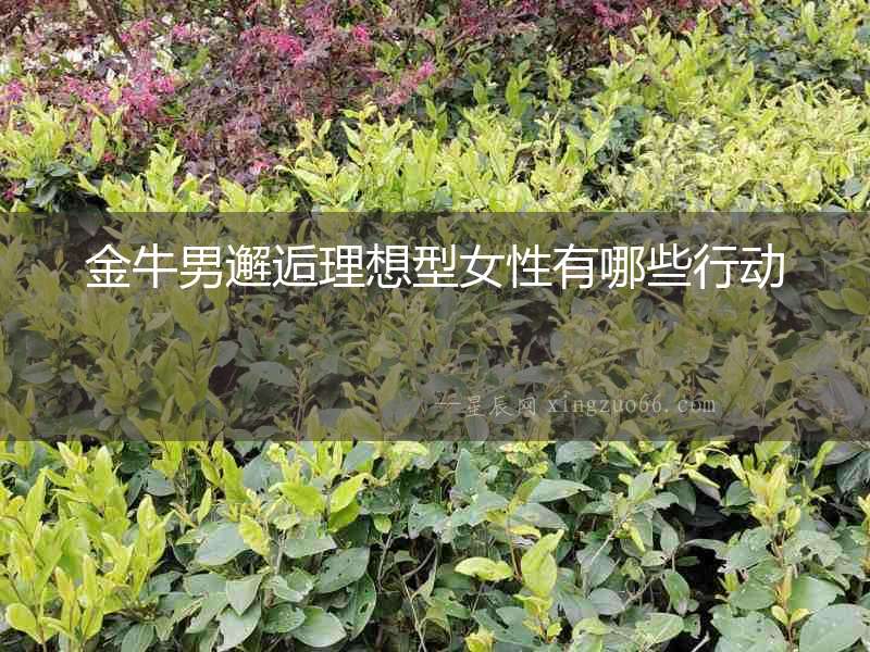 金牛男邂逅理想型女性有哪些行動(dòng)