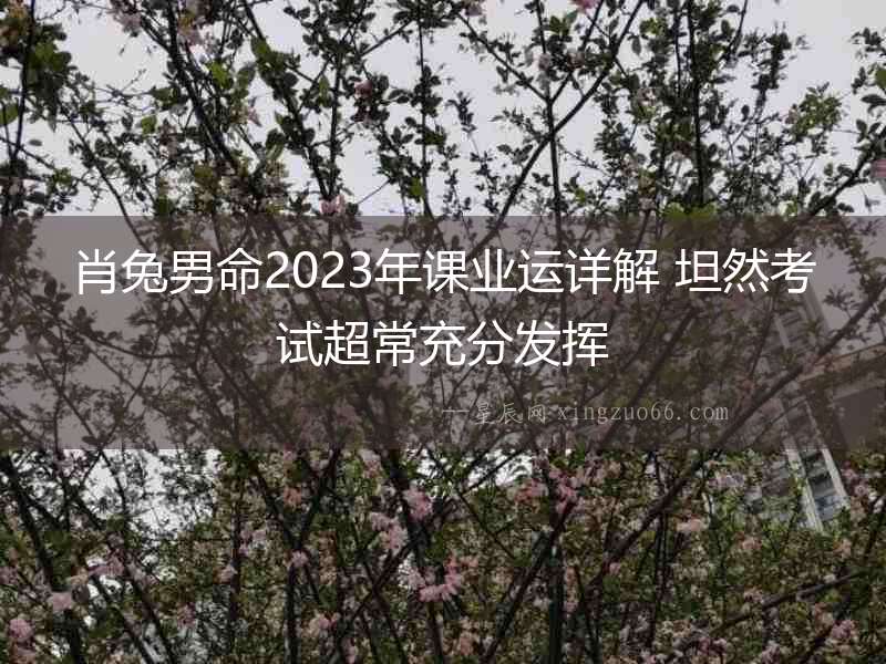 肖兔男命2023年課業運詳解 坦然考試超常充分發揮