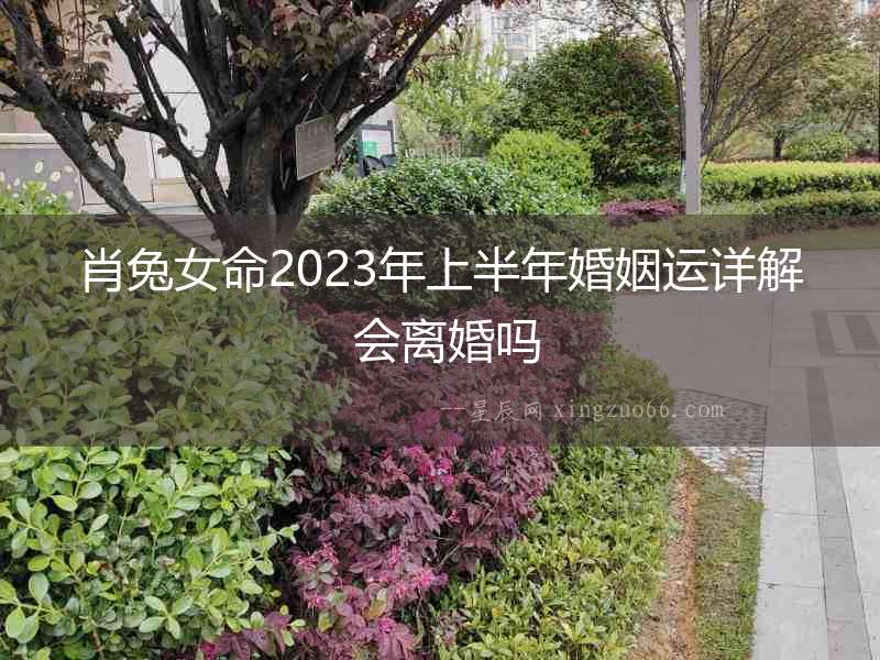 肖兔女命2023年上半年婚姻運詳解 會離婚嗎