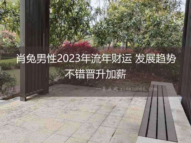 肖兔男性2023年流年財(cái)運(yùn) 發(fā)展趨勢(shì)不錯(cuò)晉升加薪