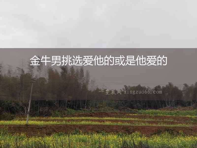 金牛男挑選愛他的或是他愛的