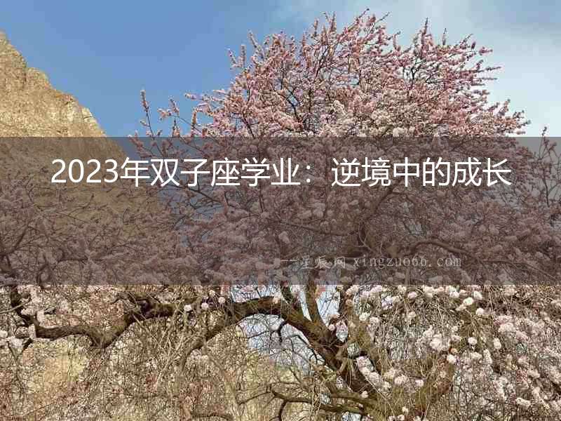 2023年雙子座學(xué)業(yè)：逆境中的成長