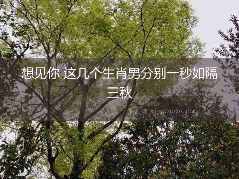 想見(jiàn)你 這幾個(gè)生肖男分別一秒如隔三秋
