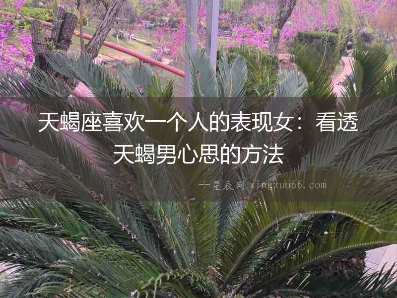 天蝎座喜歡一個人的表現女：看透天蝎男心思的方法