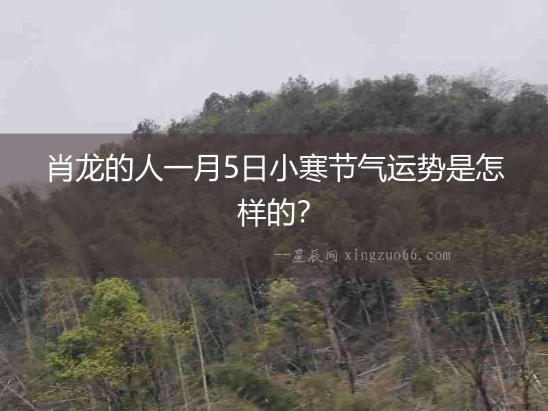 肖龍的人一月5日小寒節(jié)氣運勢是怎樣的？