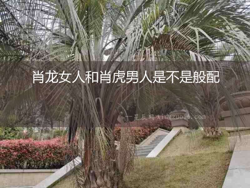 肖龍女人和肖虎男人是不是般配