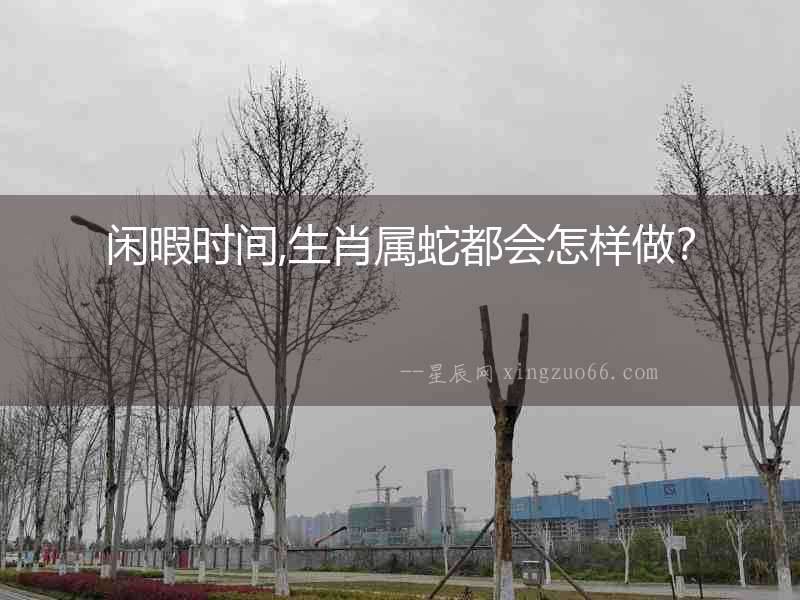 閑暇時間,生肖屬蛇都會怎樣做？