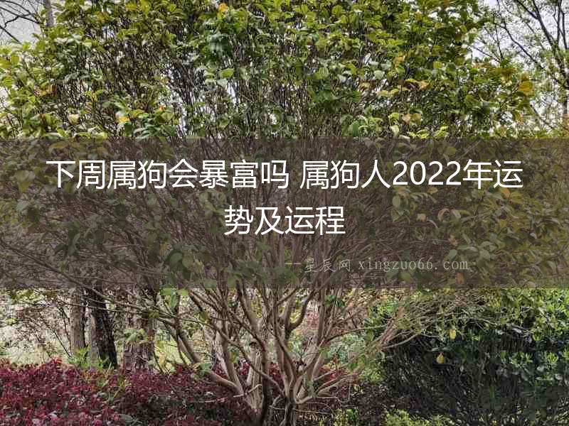 下周屬狗會暴富嗎 屬狗人2022年運勢及運程