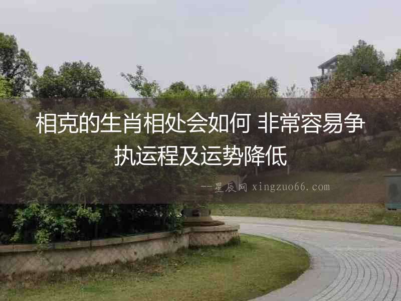 相克的生肖相處會如何 非常容易爭執(zhí)運程及運勢降低
