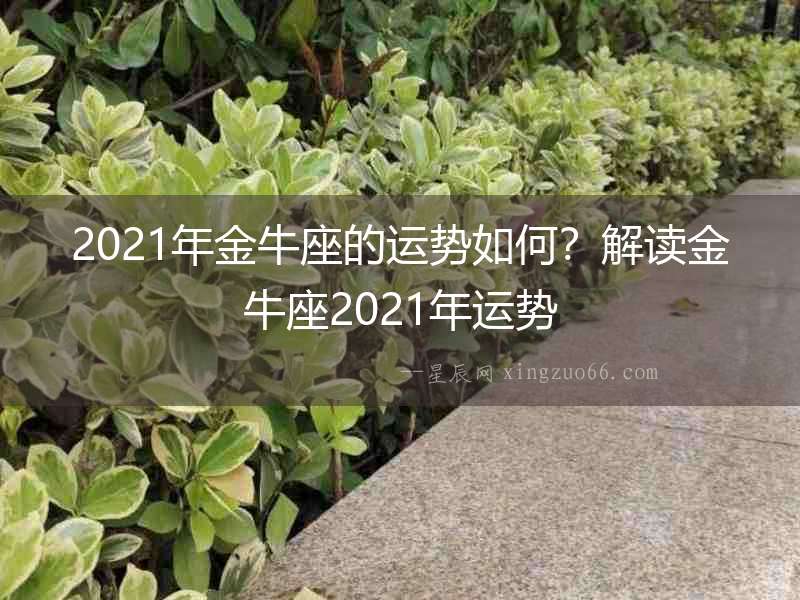 2021年金牛座的運勢如何？解讀金牛座2021年運勢