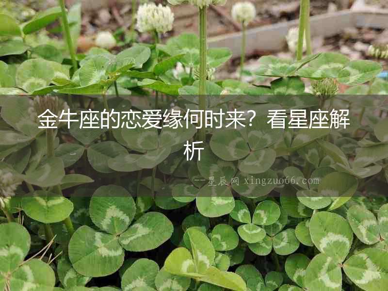 金牛座的戀愛緣何時來？看星座解析