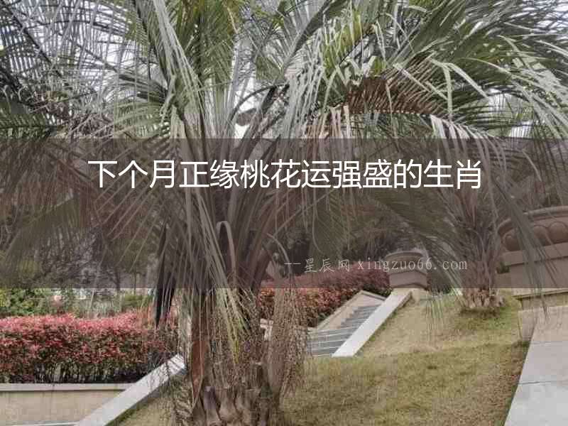 下個月正緣桃花運強盛的生肖