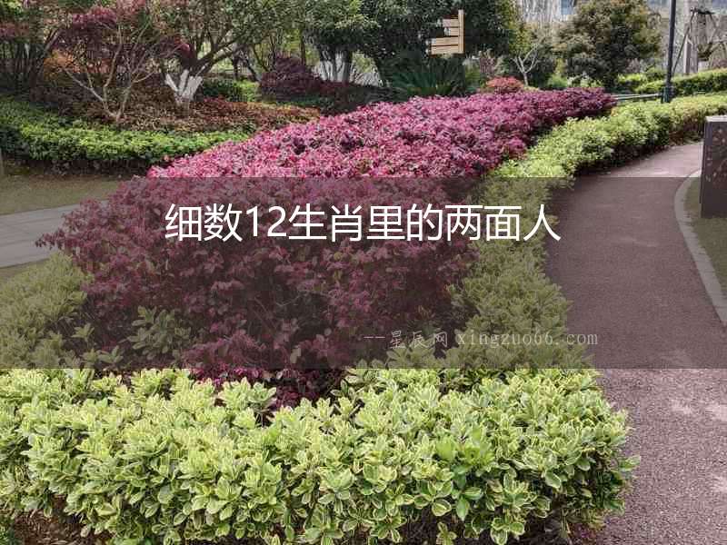 細數12生肖里的兩面人