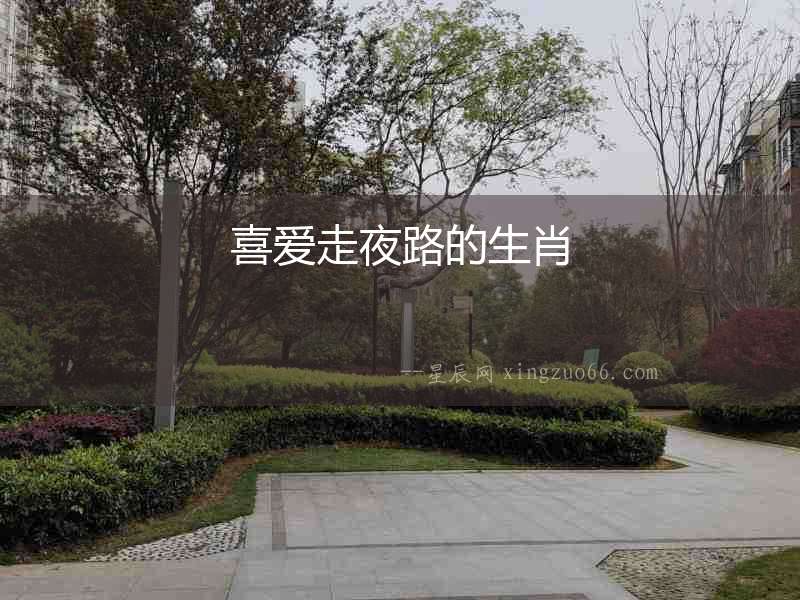 喜愛走夜路的生肖