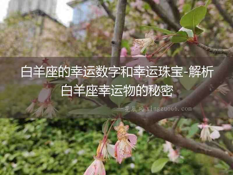 白羊座的幸運數字和幸運珠寶-解析白羊座幸運物的秘密