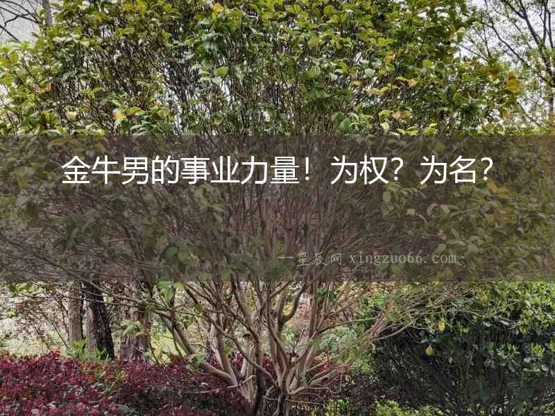 金牛男的事業力量！為權？為名？