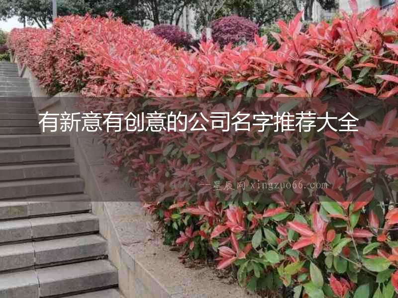 有新意有創(chuàng)意的公司名字推薦大全