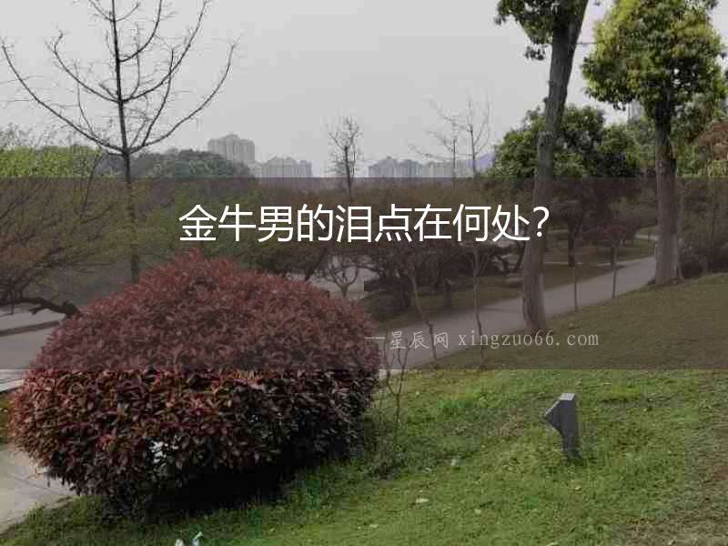 金牛男的淚點在何處？