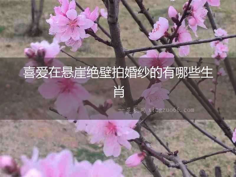 喜愛在懸崖絕壁拍婚紗的有哪些生肖