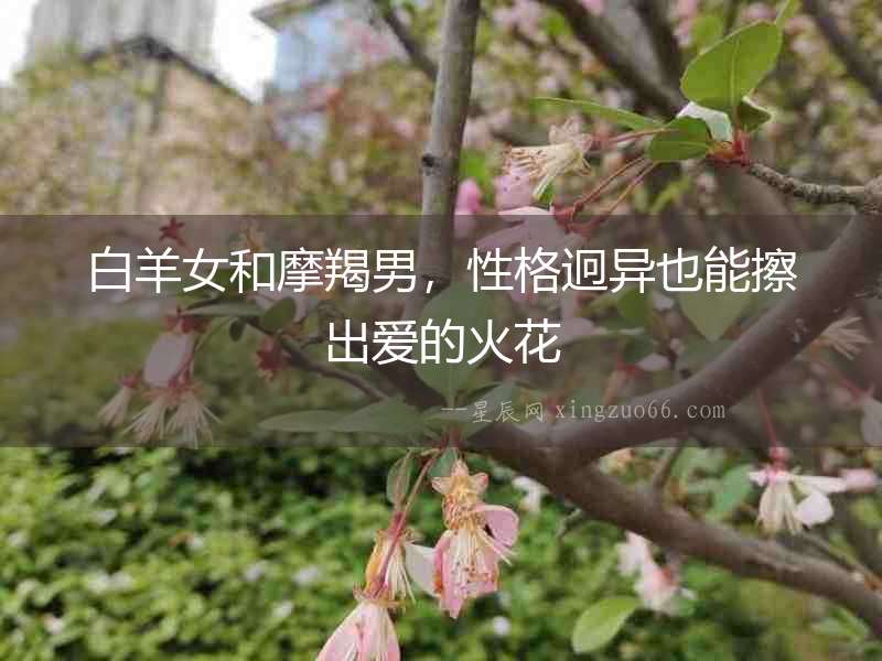 白羊女和摩羯男，性格迥異也能擦出愛(ài)的火花