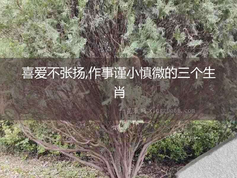 喜愛不張揚,作事謹小慎微的三個生肖