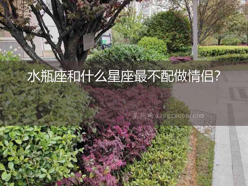 水瓶座和什么星座最不配做情侶？