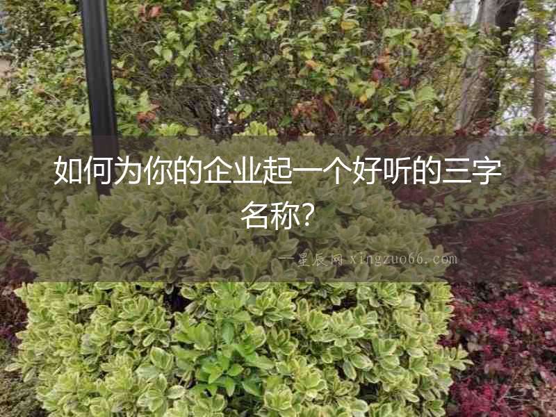 如何為你的企業(yè)起一個(gè)好聽的三字名稱？