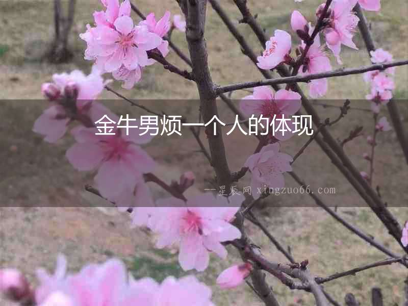 金牛男煩一個人的體現(xiàn)