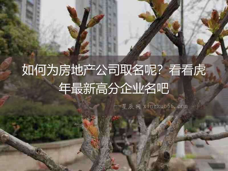 如何為房地產公司取名呢？看看虎年最新高分企業名吧