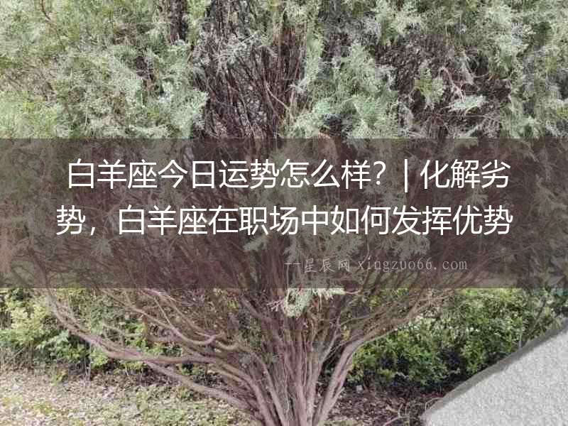  白羊座今日運勢怎么樣？| 化解劣勢，白羊座在職場中如何發揮優勢？