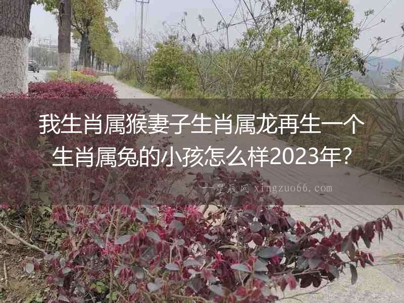 我生肖屬猴妻子生肖屬龍再生一個生肖屬兔的小孩怎么樣2023年？