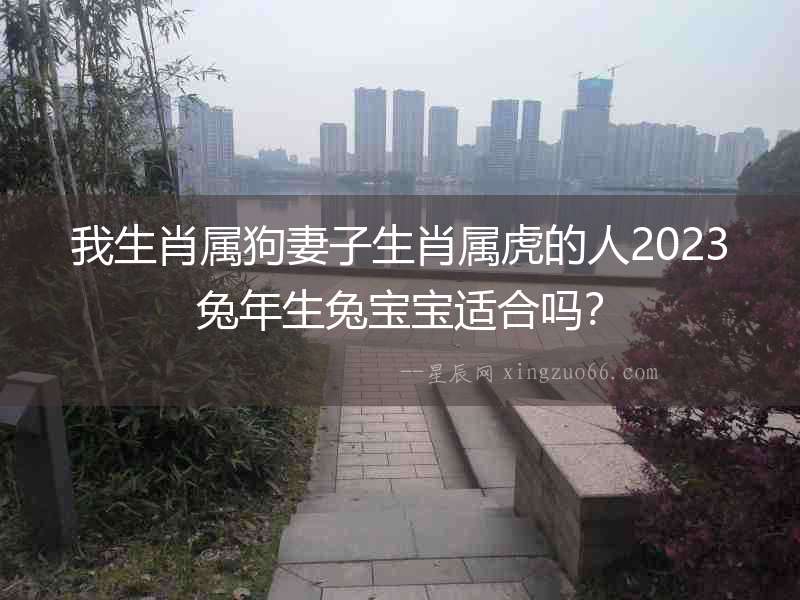 我生肖屬狗妻子生肖屬虎的人2023兔年生兔寶寶適合嗎？