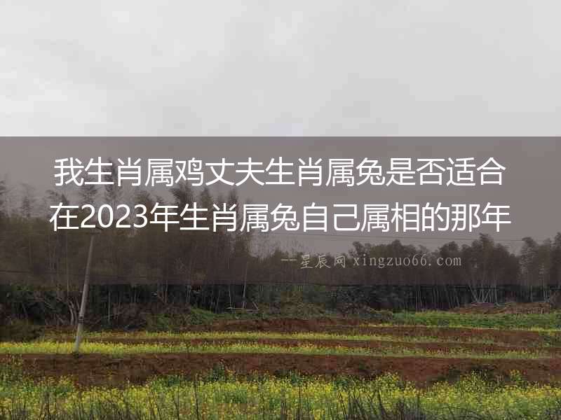 我生肖屬雞丈夫生肖屬兔是否適合在2023年生肖屬兔自己屬相的那年本命年要孩子？