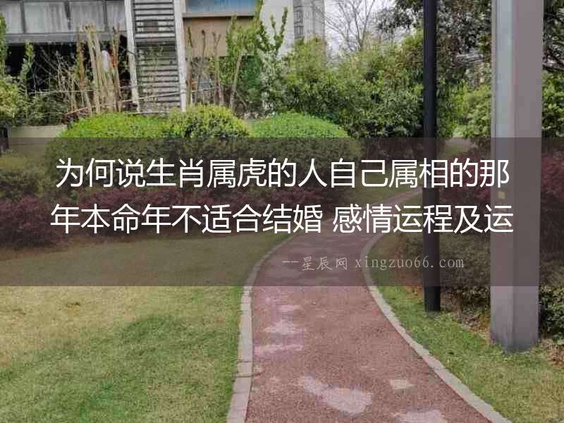 為何說生肖屬虎的人自己屬相的那年本命年不適合結(jié)婚 感情運程及運勢不順