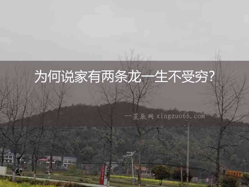 為何說(shuō)家有兩條龍一生不受窮？