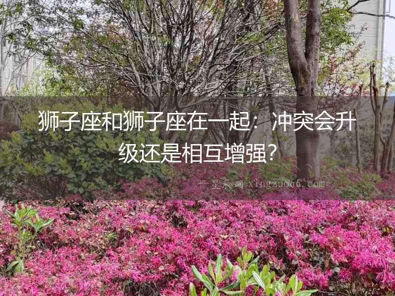 獅子座和獅子座在一起：沖突會升級還是相互增強？