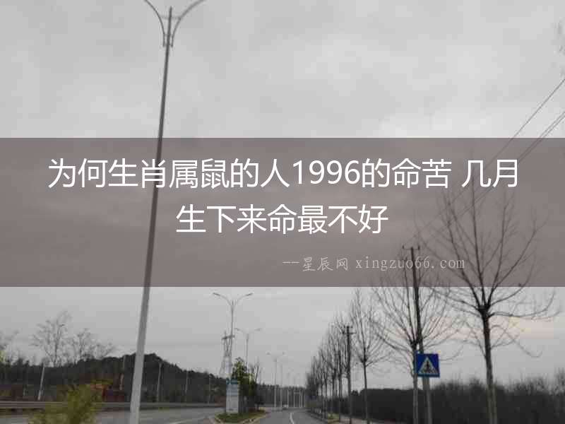 為何生肖屬鼠的人1996的命苦 幾月生下來命最不好