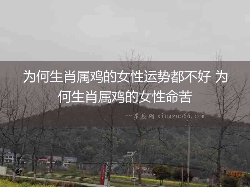 為何生肖屬雞的女性運(yùn)勢都不好 為何生肖屬雞的女性命苦