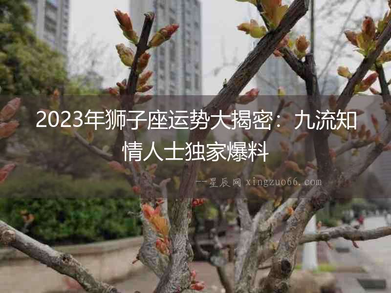 2023年獅子座運勢大揭密：九流知情人士獨家爆料