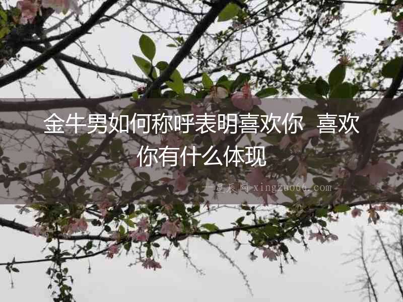 金牛男如何稱呼表明喜歡你  喜歡你有什么體現