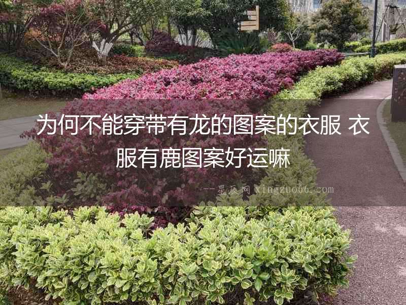 為何不能穿帶有龍的圖案的衣服 衣服有鹿圖案好運(yùn)嘛
