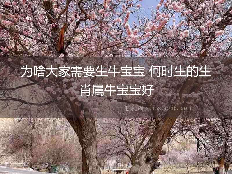 為啥大家需要生牛寶寶 何時(shí)生的生肖屬牛寶寶好