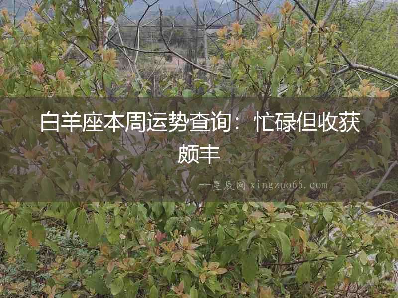 白羊座本周運(yùn)勢(shì)查詢：忙碌但收獲頗豐