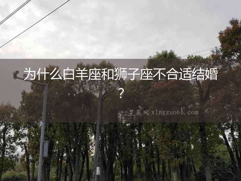 為什么白羊座和獅子座不合適結婚？