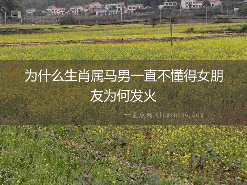 為什么生肖屬馬男一直不懂得女朋友為何發火